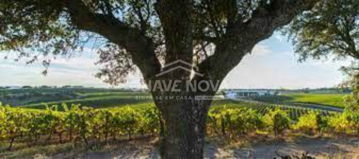 24 غرف نوم قلاع في Elvas, Portugal رقم 139674