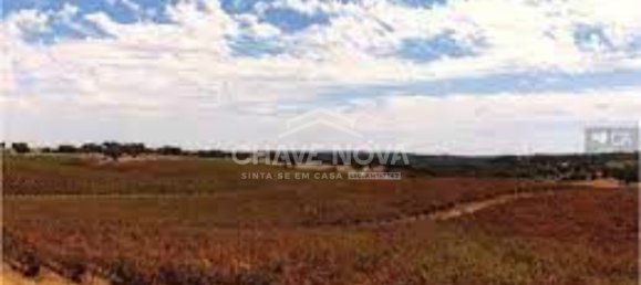 24 غرف نوم قلاع في Elvas, Portugal رقم 139674 7