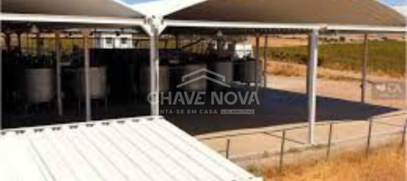 24 غرف نوم قلاع في Elvas, Portugal رقم 139674 5