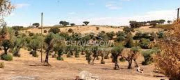 24 غرف نوم قلاع في Elvas, Portugal رقم 139674 4