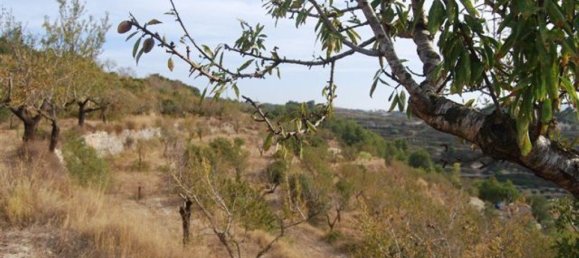  Land in Benissa, Spain No. 3166 7