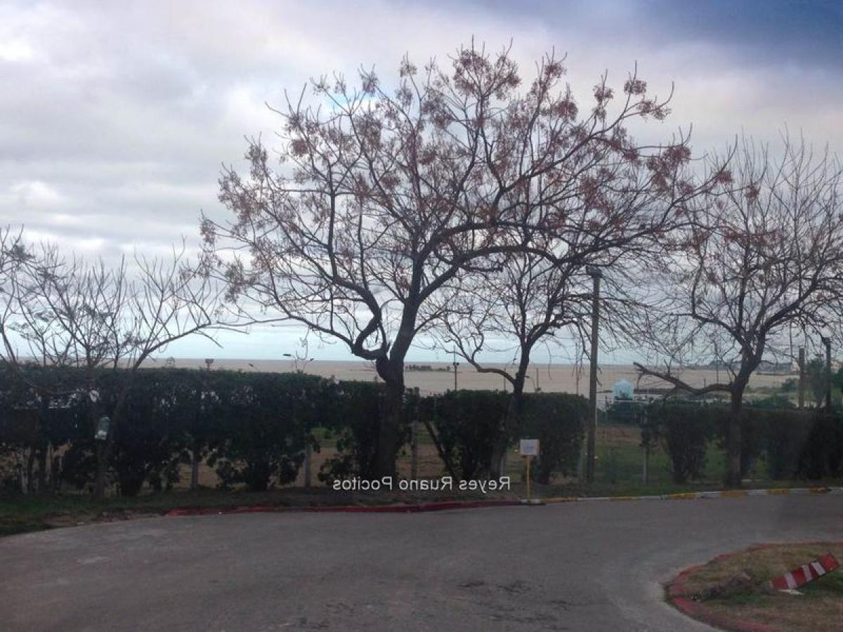 Terrain à Montevideo, Uruguay No. 14981