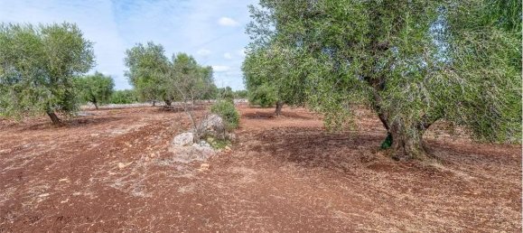 5غرفة منزل في Ostuni, Italy رقم 92436 21