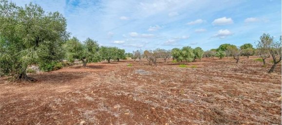 5غرفة منزل في Ostuni, Italy رقم 92436 19