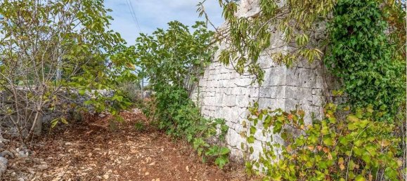 5غرفة منزل في Ostuni, Italy رقم 92436 10