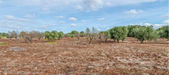 5غرفة منزل في Ostuni, Italy رقم 92436 18