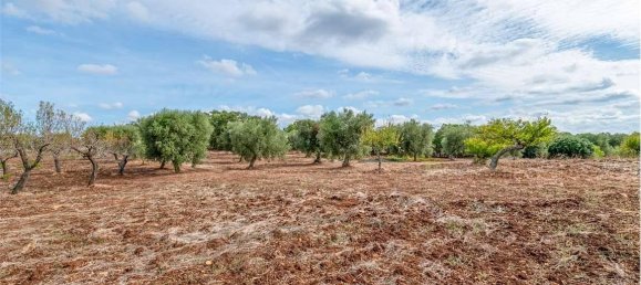 5غرفة منزل في Ostuni, Italy رقم 92436 17