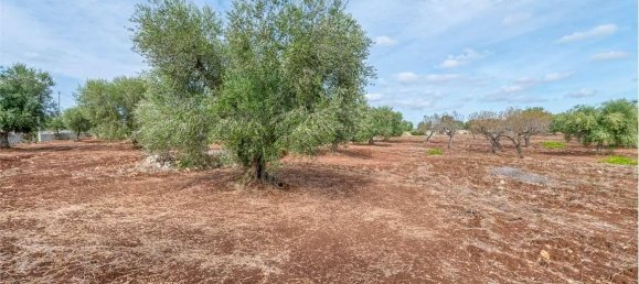 5غرفة منزل في Ostuni, Italy رقم 92436 20