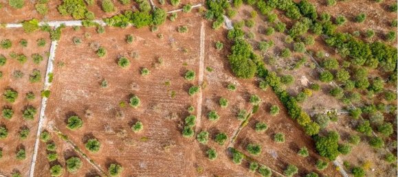 5غرفة منزل في Ostuni, Italy رقم 92436 3