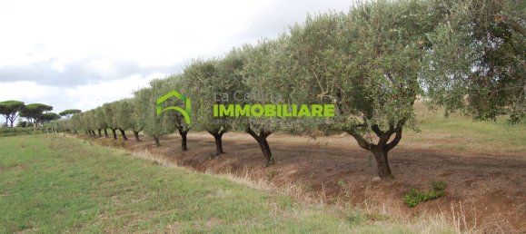 Grundstück in Cisterna di Latina, Italy 69000m², Nr. 206238 31