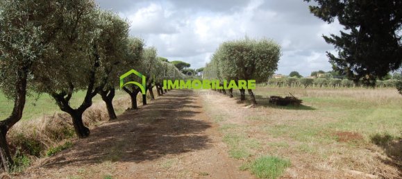 Grundstück in Cisterna di Latina, Italy 69000m², Nr. 206238 25