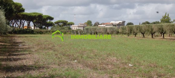 Grundstück in Cisterna di Latina, Italy 69000m², Nr. 206238 29