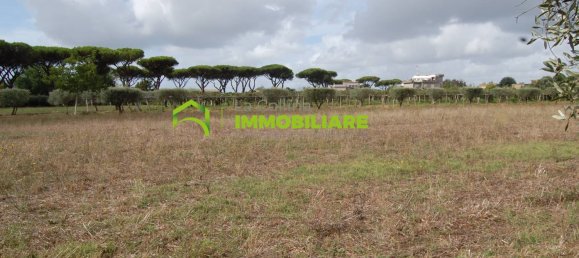 Grundstück in Cisterna di Latina, Italy 69000m², Nr. 206238 22