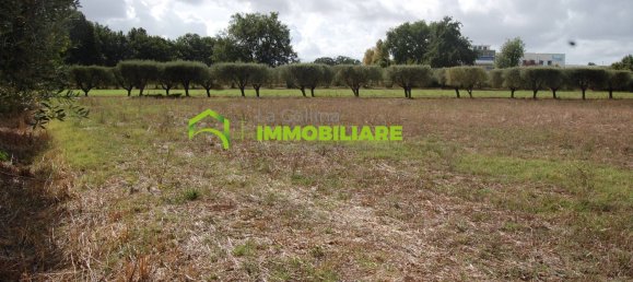 Grundstück in Cisterna di Latina, Italy 69000m², Nr. 206238 33