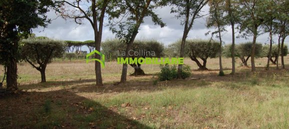 Grundstück in Cisterna di Latina, Italy 69000m², Nr. 206238 20