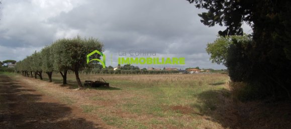 Grundstück in Cisterna di Latina, Italy 69000m², Nr. 206238 9
