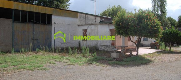 Grundstück in Cisterna di Latina, Italy 69000m², Nr. 206238 18