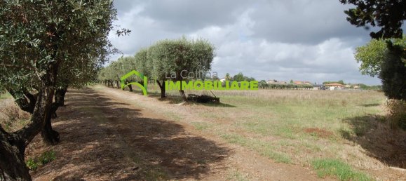 Grundstück in Cisterna di Latina, Italy 69000m², Nr. 206238 26