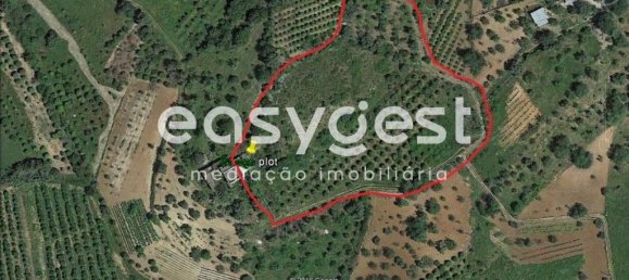 Земельный участок 11100м² в Ольян, Португалия № 43689 9