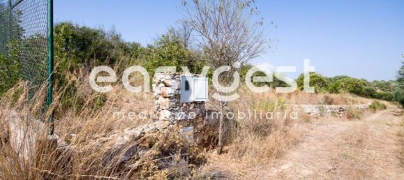 Земельный участок 11100м² в Ольян, Португалия № 43689 8