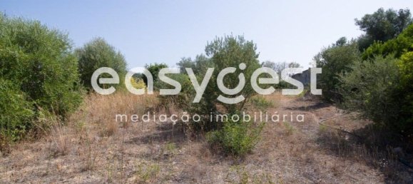 Земельный участок 11100м² в Ольян, Португалия № 43689 4