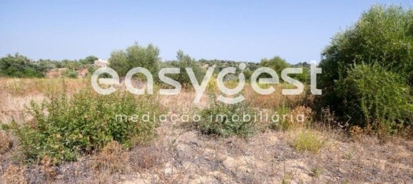 Земельный участок 11100м² в Ольян, Португалия № 43689 3