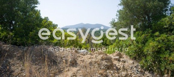 Земельный участок 11100м² в Ольян, Португалия № 43689 6