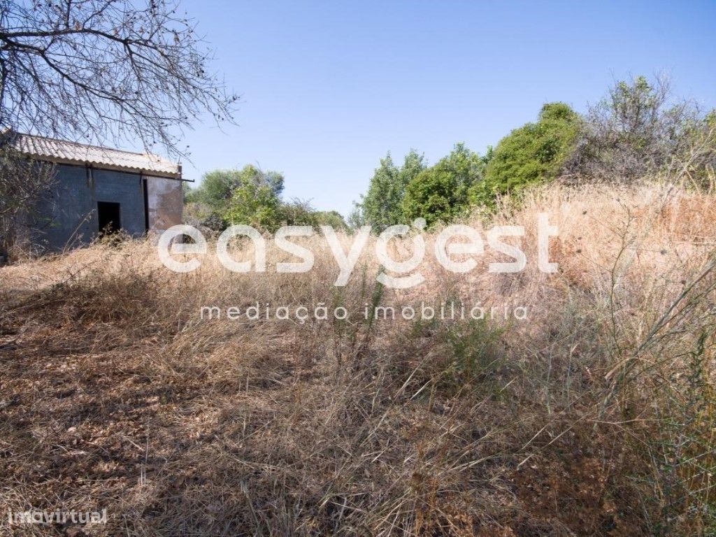 Земельный участок 11100м² в Ольян, Португалия № 43689