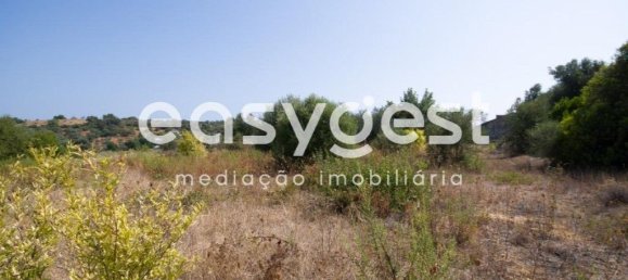 Земельный участок 11100м² в Ольян, Португалия № 43689 7