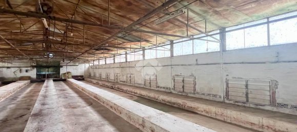 4 rooms Warehouse in Molinella, Italy No. 309939 24