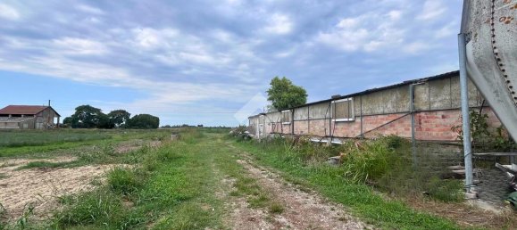 4 rooms Warehouse in Molinella, Italy No. 309939 25