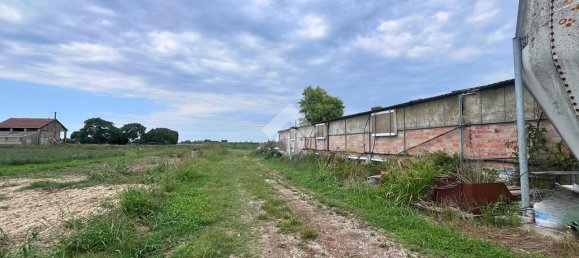 4 rooms Warehouse in Molinella, Italy No. 309939 7