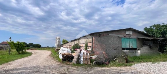 4 rooms Warehouse in Molinella, Italy No. 309939 5