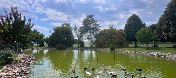 4 rooms Warehouse in Molinella, Italy No. 309939 10