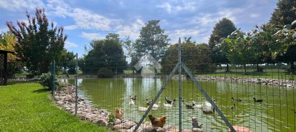 4 rooms Warehouse in Molinella, Italy No. 309939 9