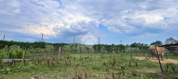 4 rooms Warehouse in Molinella, Italy No. 309939 6