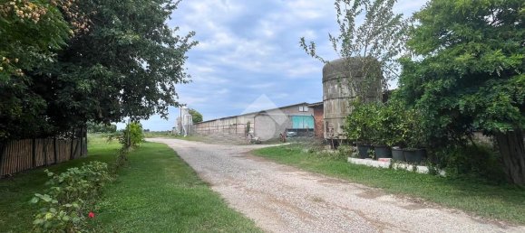 4 rooms Warehouse in Molinella, Italy No. 309939 18