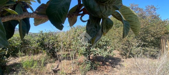 373m² Land in Trabia, Italy No. 237702 9