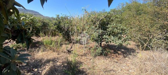 373m² Land in Trabia, Italy No. 237702 13