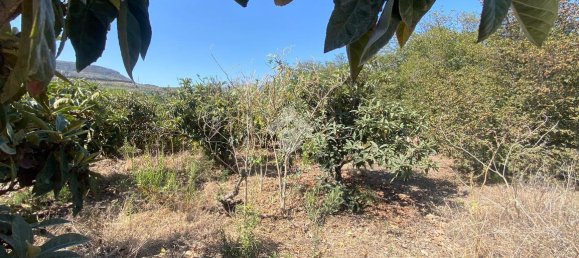 373m² Land in Trabia, Italy No. 237702 14