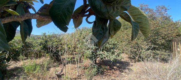 373m² Land in Trabia, Italy No. 237702 12