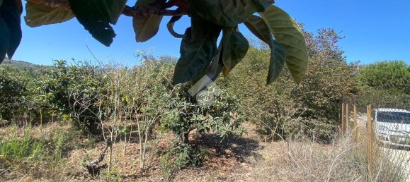 373m² Land in Trabia, Italy No. 237702 11