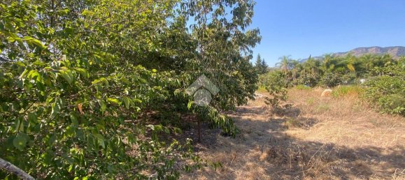 373m² Land in Trabia, Italy No. 237702 8