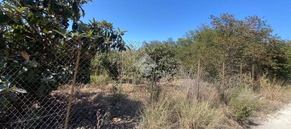 373m² Land in Trabia, Italy No. 237702 10