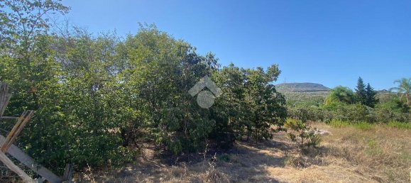 373m² Land in Trabia, Italy No. 237702 15