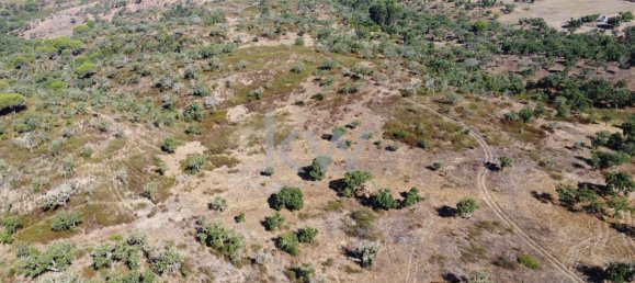 499999m² Land in Grandola, Portugal No. 64827 5