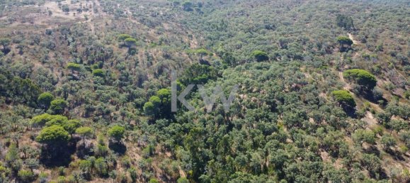 499999m² Land in Grandola, Portugal No. 64827 8