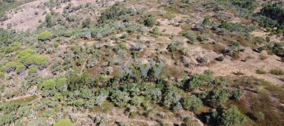 499999m² Land in Grandola, Portugal No. 64827 14