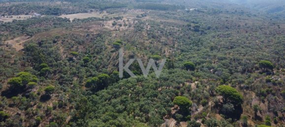 499999m² Land in Grandola, Portugal No. 64827 9