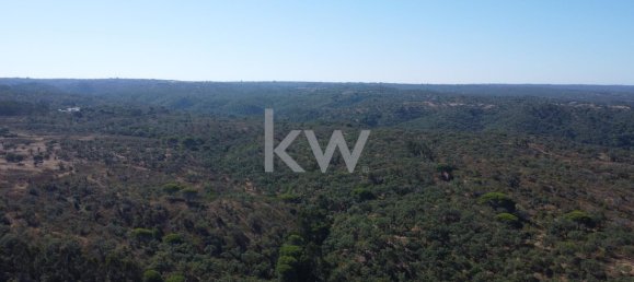 499999m² Land in Grandola, Portugal No. 64827 7